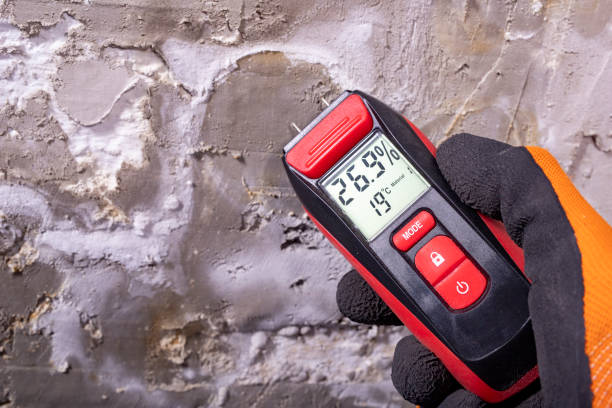 Crawl Space Mold Removal in Fairway, KS